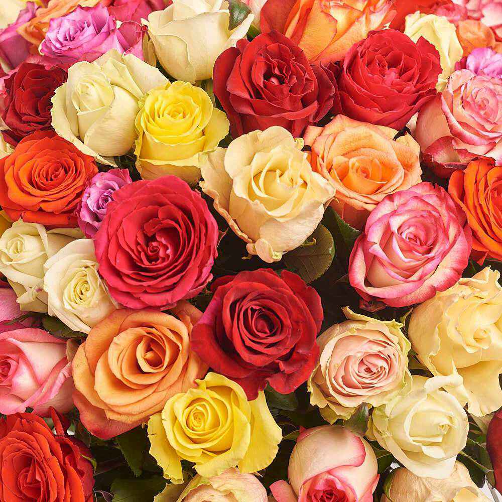 Букет из 101 розы Микс