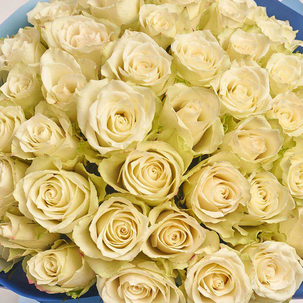 Букет из 51 белой розы Атена