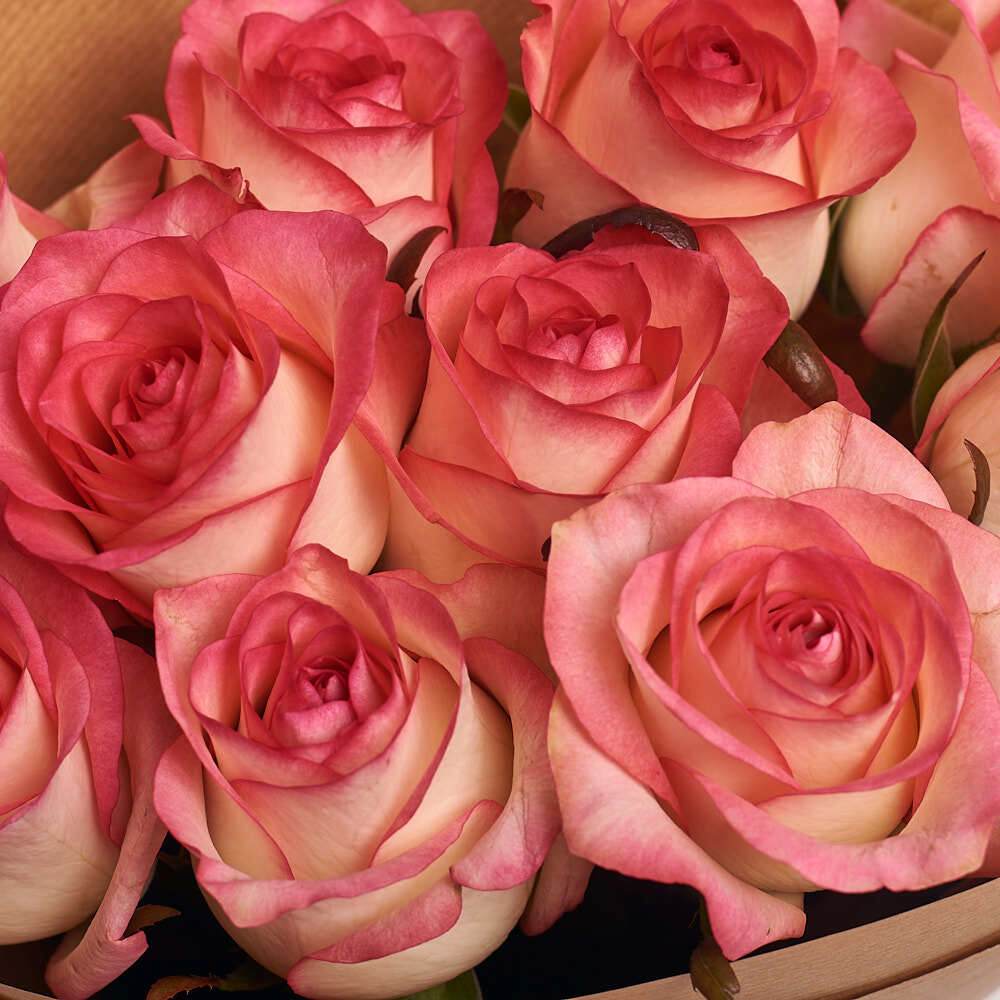 Букет из 11 роз Джумилия