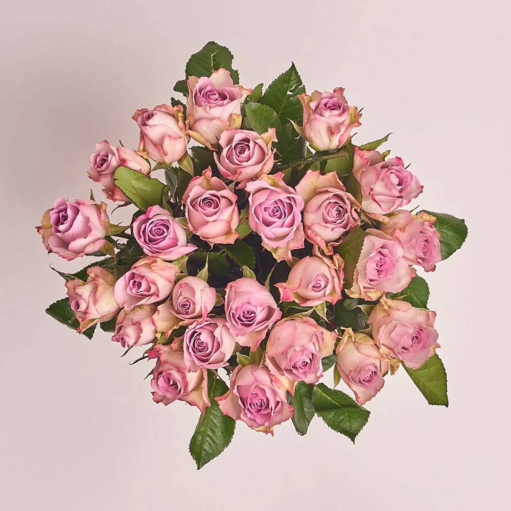 Букет из 25 роз Мемори Лейн