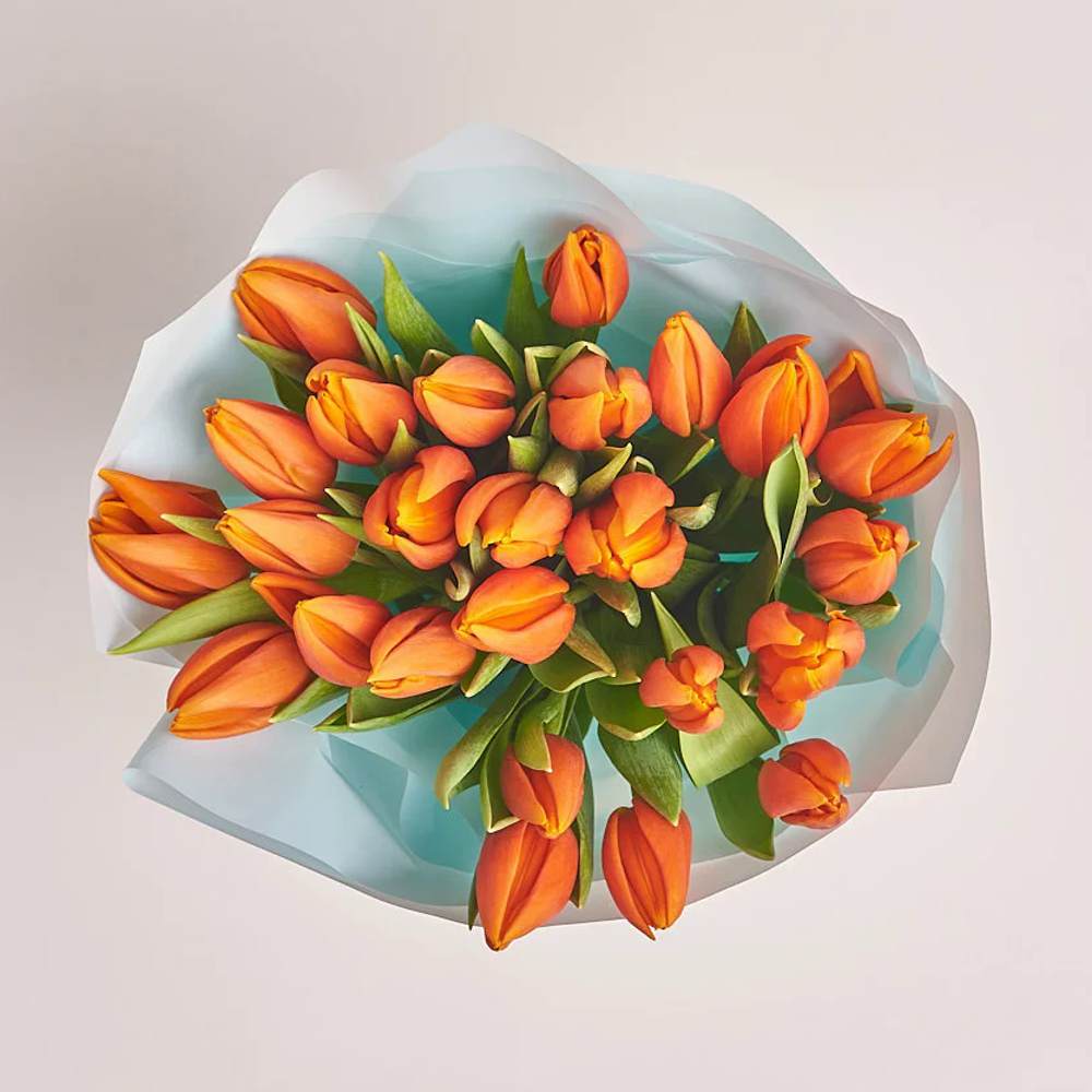 Букет из 25 оранжевых тюльпанов